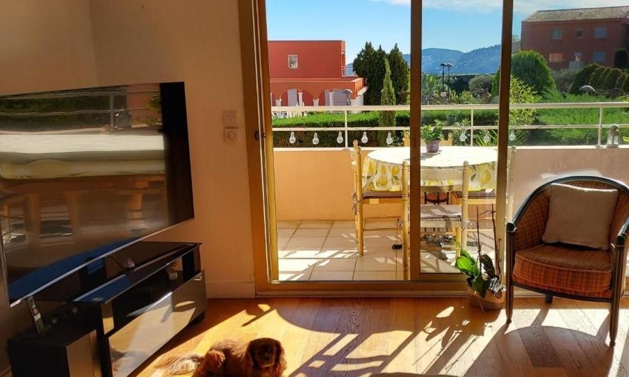 Chambre Lit 2 Personnes Dans Appartement Du Logeur Mandelieu Exteriör bild
